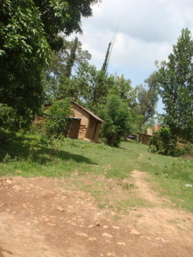 dsc00696.jpg