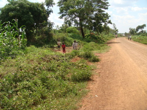 dsc00878.jpg