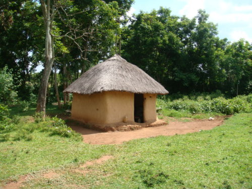dsc00881.jpg