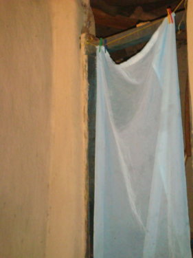 dsc00889.jpg