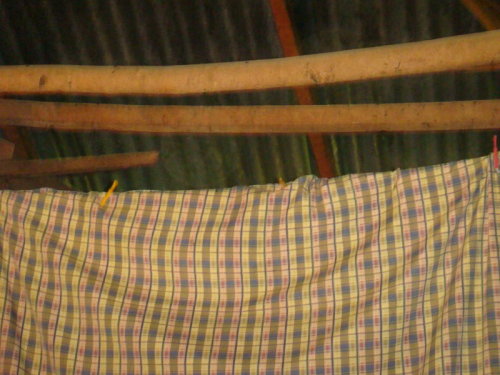 dsc00890.jpg