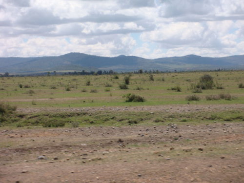 dsc00984.jpg