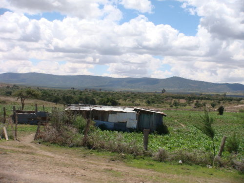 dsc00985.jpg