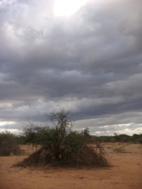 dsc01001.jpg