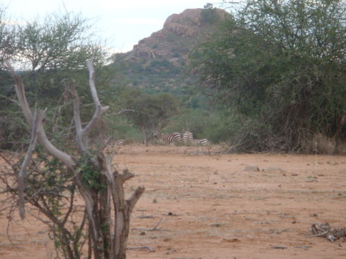 dsc01002.jpg