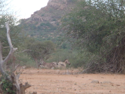 dsc01003.jpg