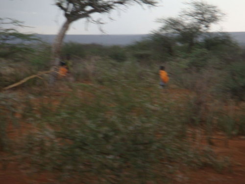 dsc01007.jpg