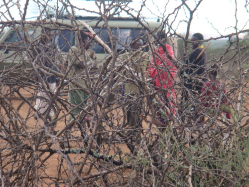 dsc01023.jpg