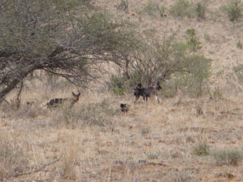 dsc01059.jpg