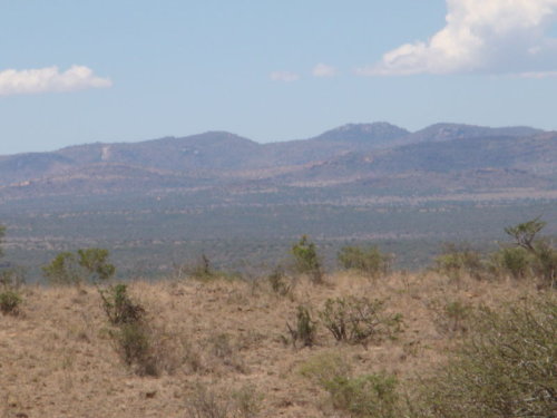 dsc01061.jpg