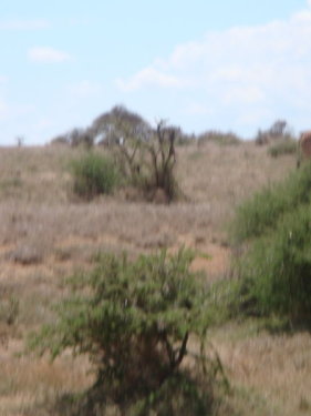 dsc01070.jpg