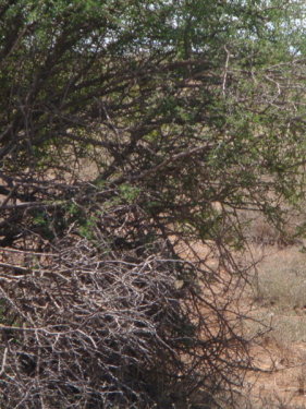 dsc01072.jpg