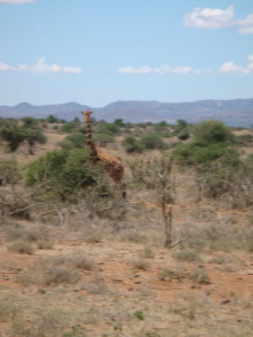 dsc01084.jpg