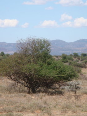 dsc01089.jpg
