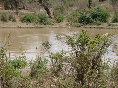 dsc01095.jpg