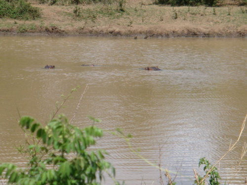 dsc01101.jpg