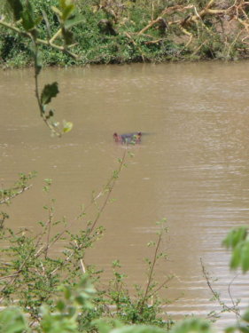 dsc01106.jpg