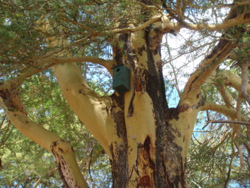 dsc01107.jpg