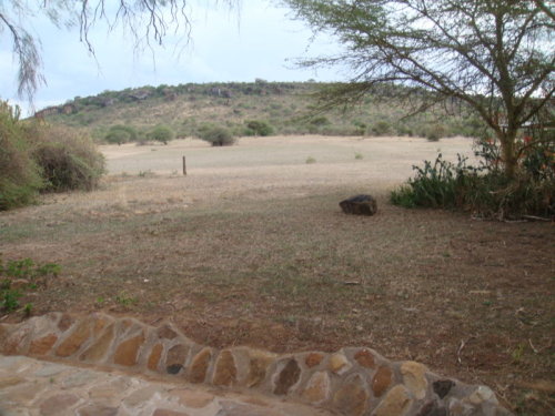 dsc01110.jpg