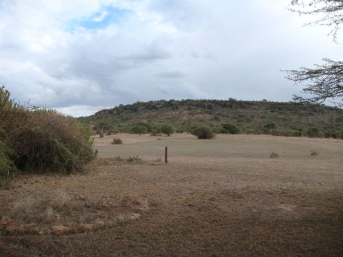 dsc01113.jpg