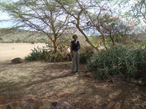 dsc01117.jpg