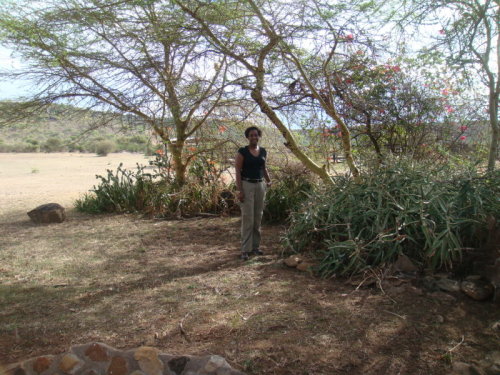 dsc01118.jpg