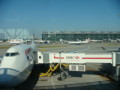 dsc00499.jpg