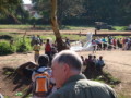 dsc00510.jpg