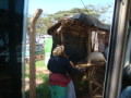 dsc00525.jpg