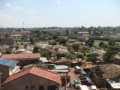 dsc00550.jpg