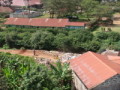 dsc00552.jpg