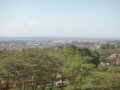 dsc00554.jpg