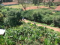 dsc00556.jpg