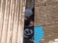 dsc00563.jpg