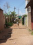 dsc00569.jpg
