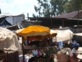 dsc00576.jpg