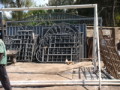 dsc00578.jpg