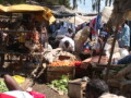dsc00580.jpg