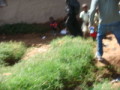 dsc00590.jpg