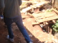 dsc00591.jpg