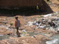 dsc00619.jpg