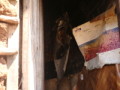 dsc00622.jpg