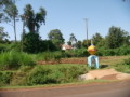 dsc00651.jpg