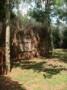 dsc00659.jpg