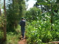 dsc00660.jpg