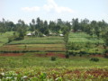 dsc00665.jpg
