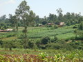 dsc00666.jpg