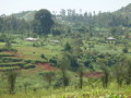 dsc00667.jpg