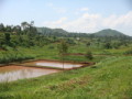 dsc00670.jpg
