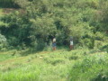 dsc00672.jpg